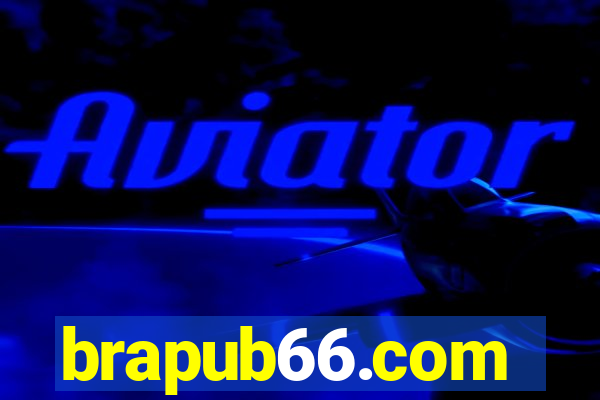 brapub66.com